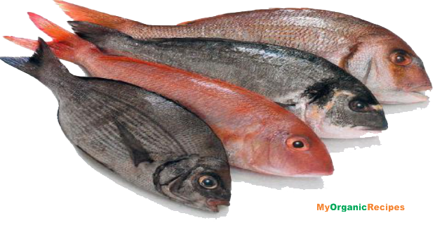 Fish And Meat PNG - 170098