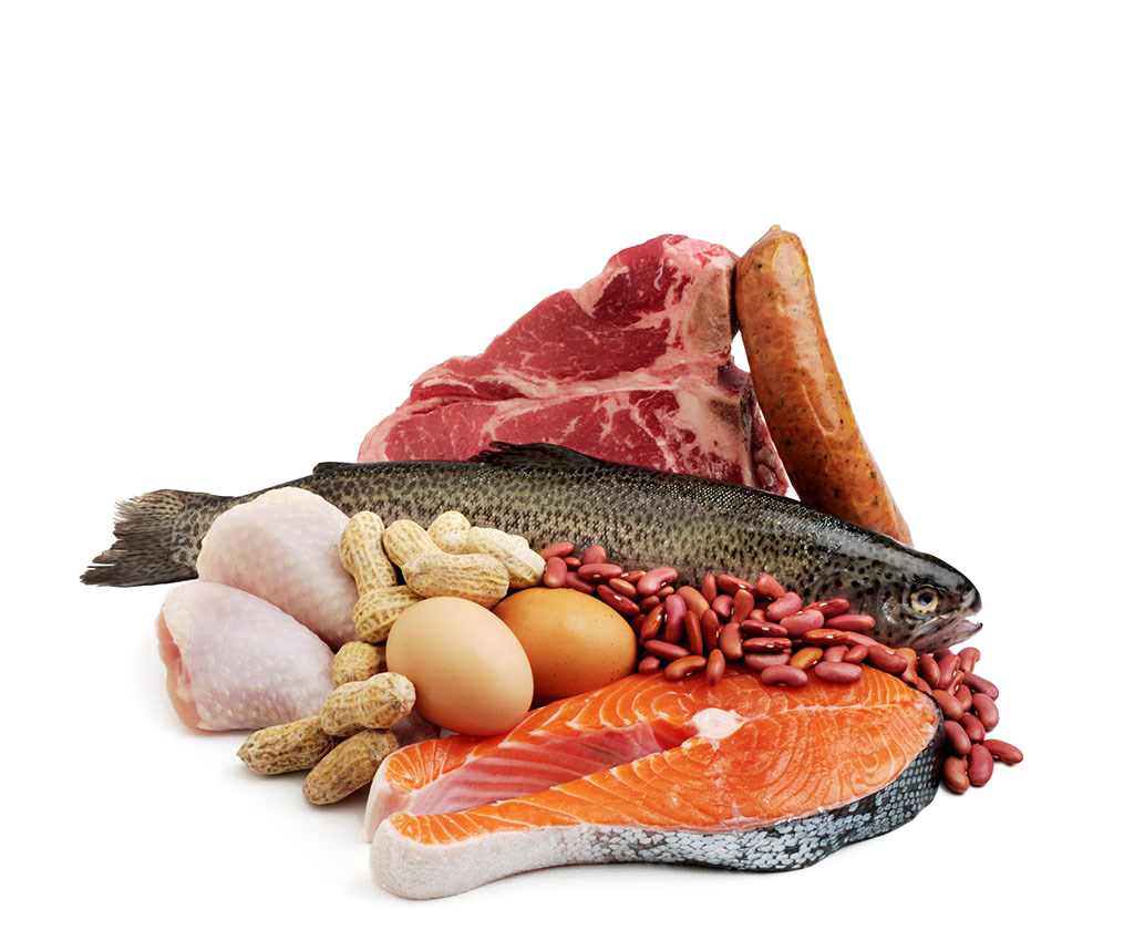 Fish And Meat PNG - 170112