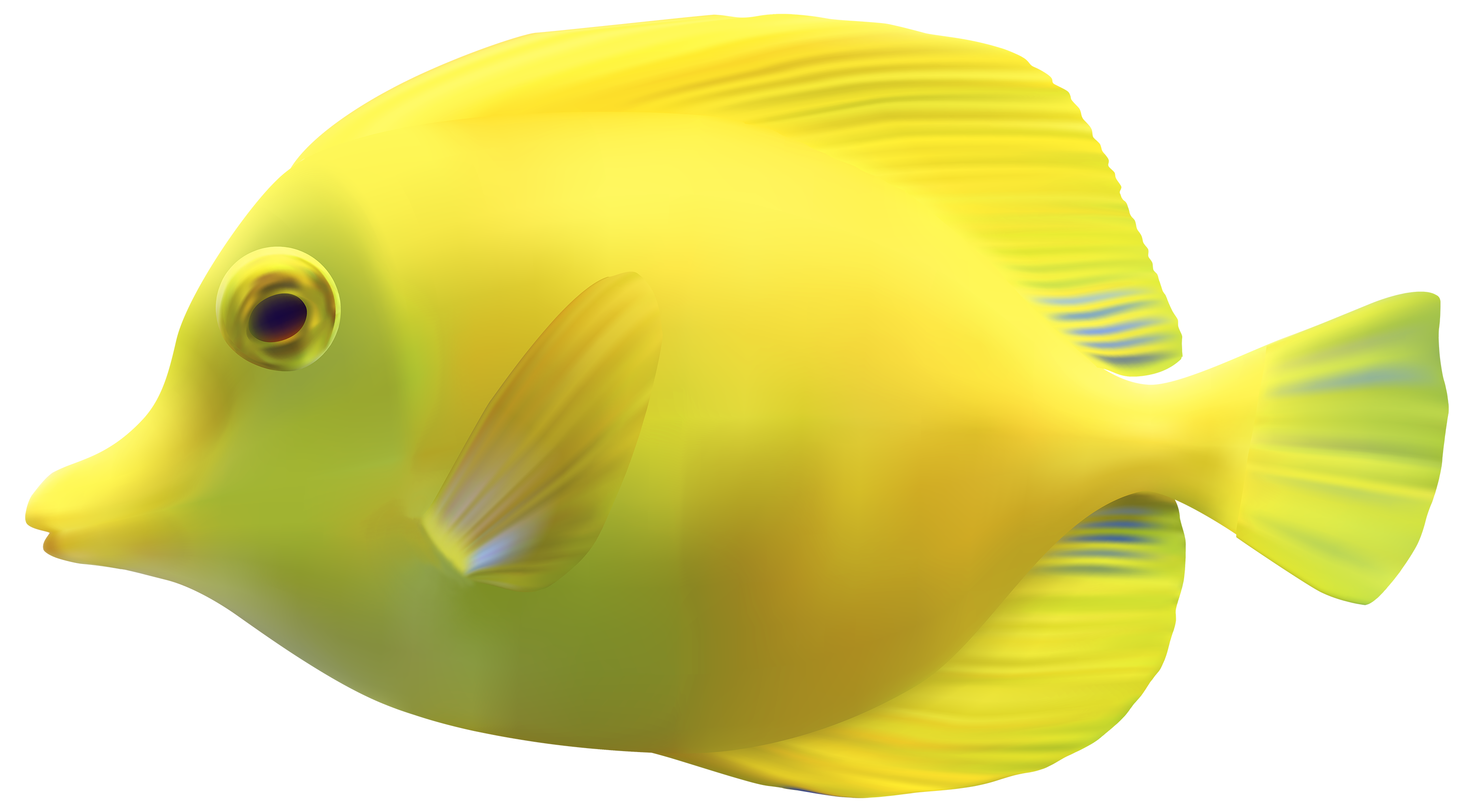 Fish PNG - 24501