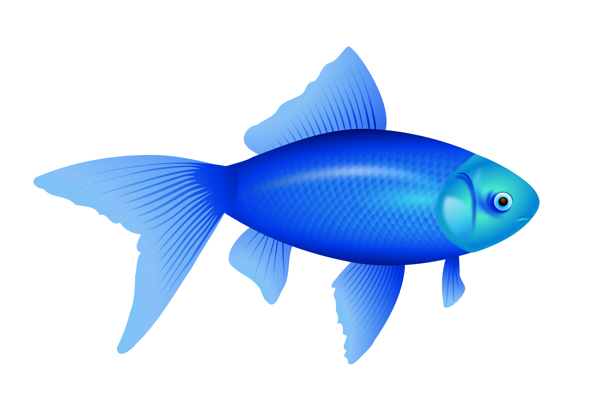 Fish PNG HD  - 129576