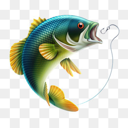 Fish PNG HD  - 129574