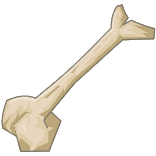 Bone PNG - 1566