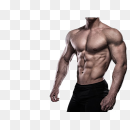Fitness HD PNG - 89582