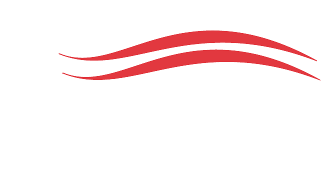 Flag Logo PNG - 100972