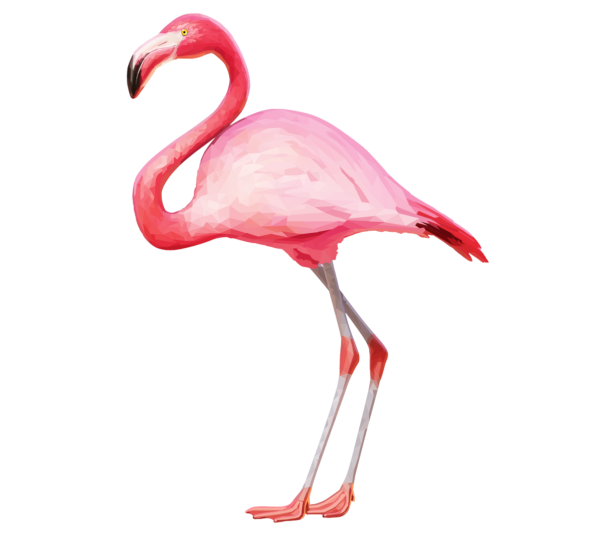 Flamingo Large Side