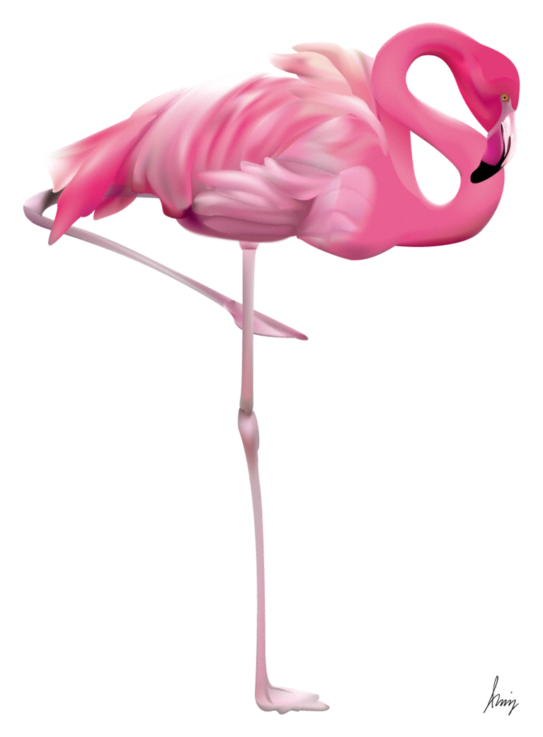 Flamingo HD PNG - 90733