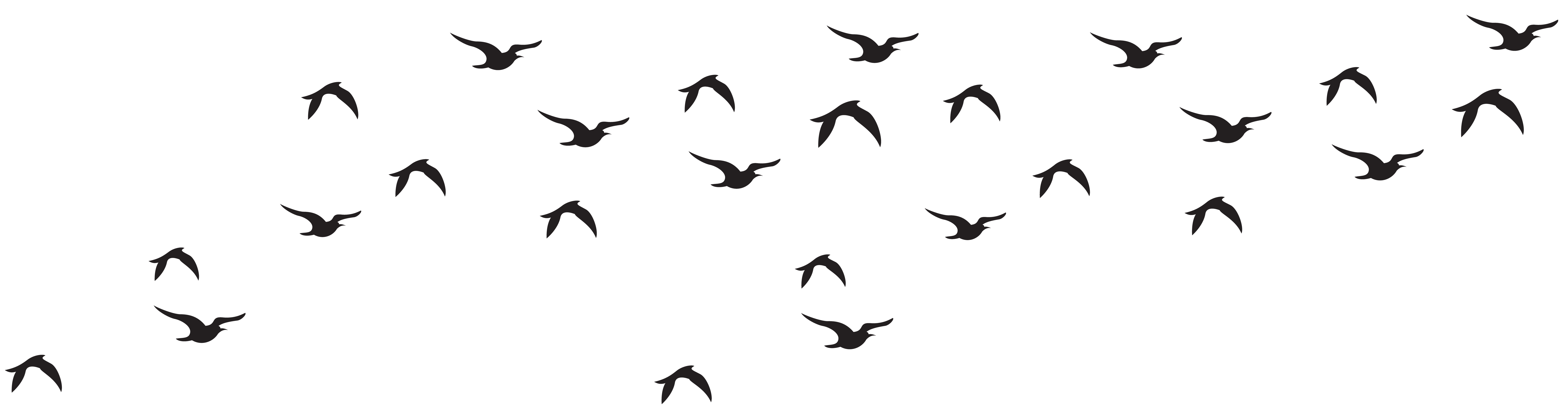 Flock of Birds PNG - 25751