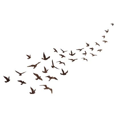 Flock of Birds PNG - 25752