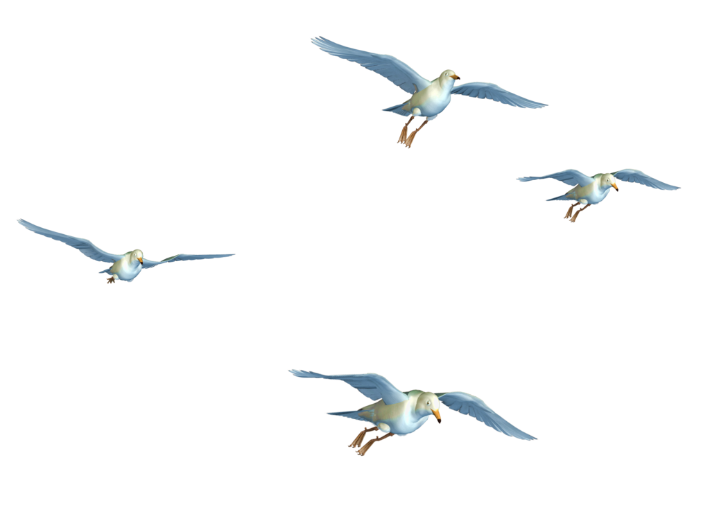 Flying Bird PNG - 22965