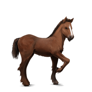 Foal PNG HD - 124612