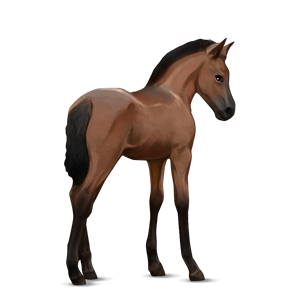 clipart brown horse png image