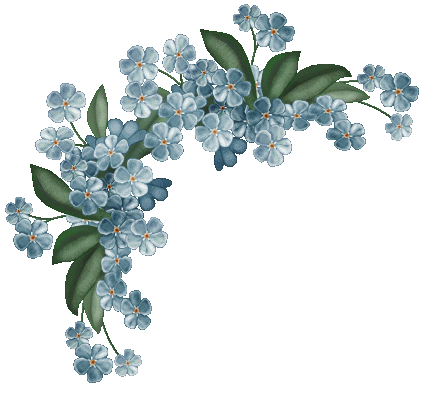 Forget Me Not PNG HD - 121299
