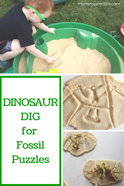 Fossil Dig PNG - 153212
