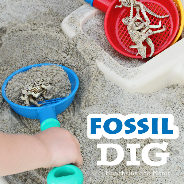 Fossil Dig PNG - 153217