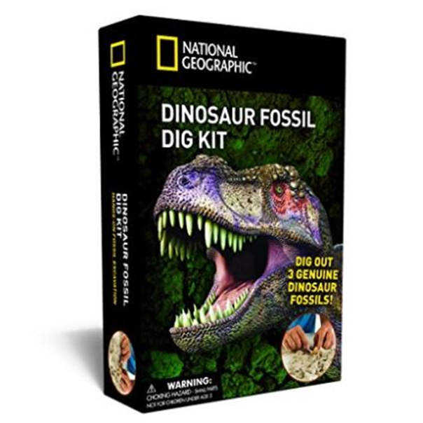 Fossil Dig PNG - 153215
