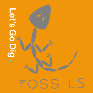 Fossil Dig PNG - 153222