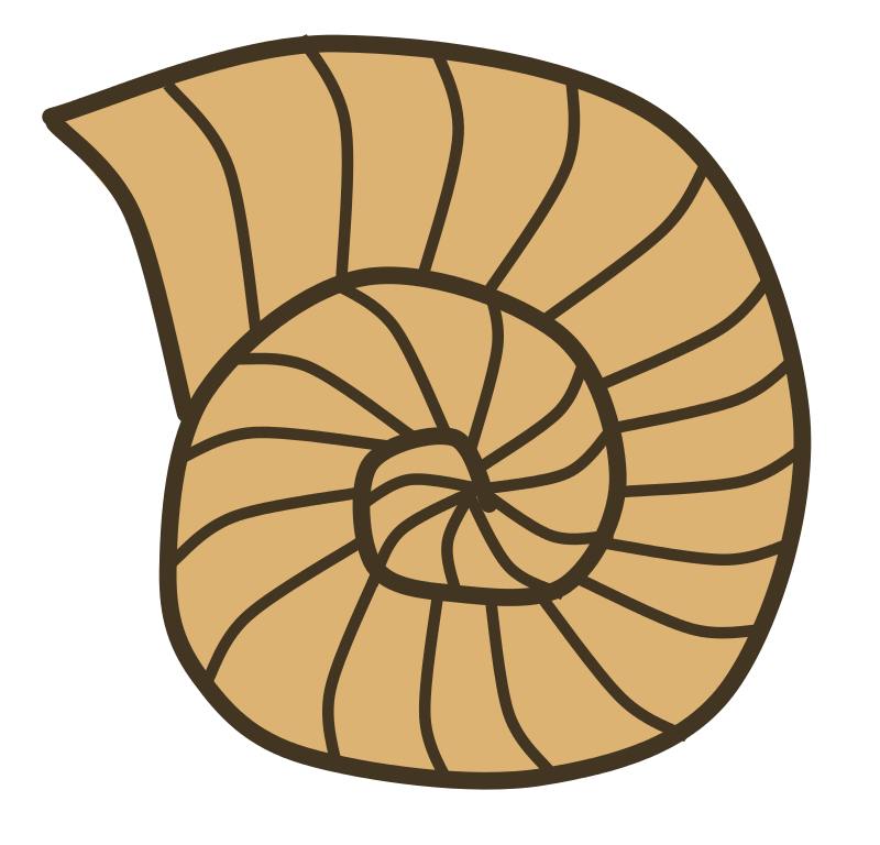 Fossil Dig PNG - 153229