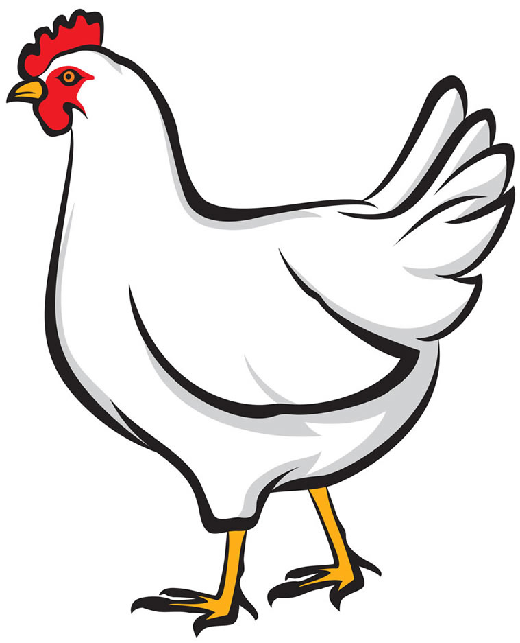 Free PNG Hen