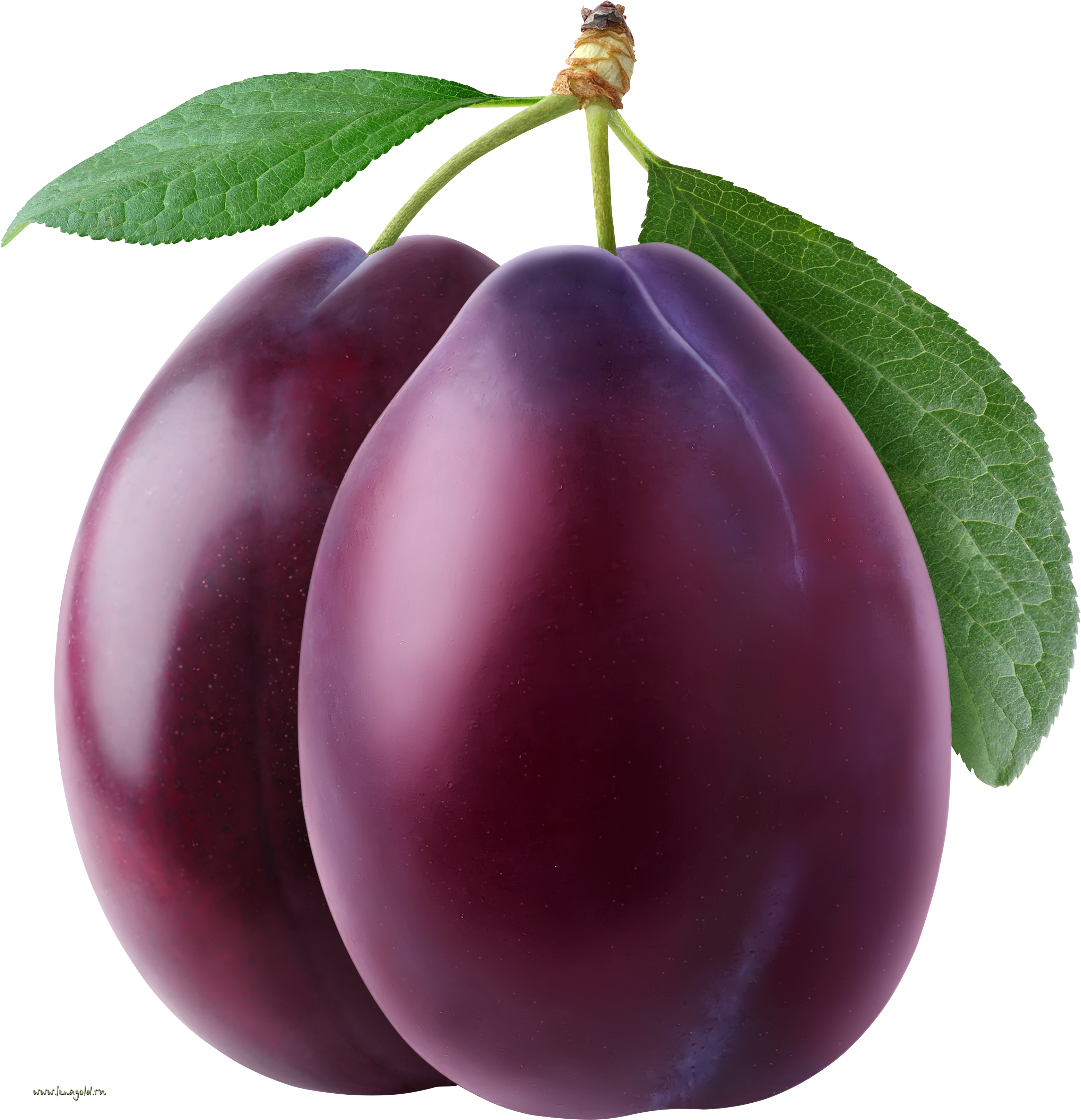 Free PNG Plums
