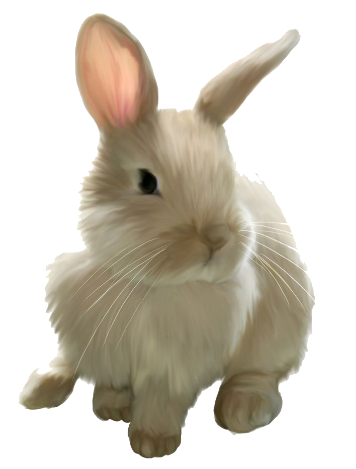 Free PNG Rabbits Bunnies - 65007