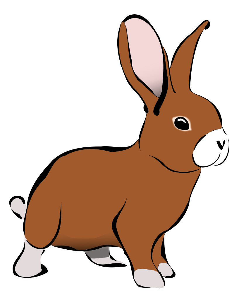 Free PNG Rabbits Bunnies - 65006