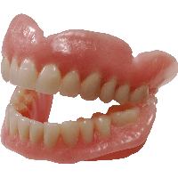 Free PNG Teeth - 60474