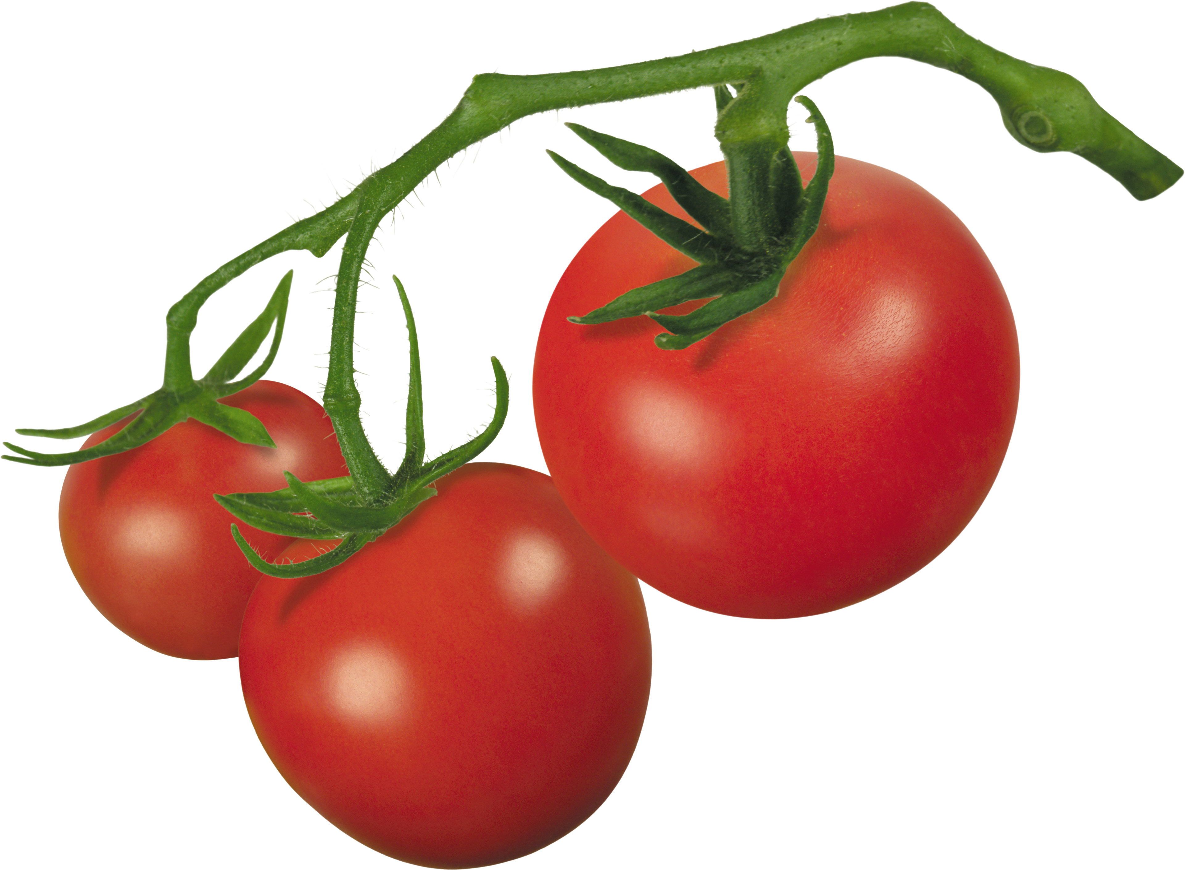 Free PNG Tomatoes - 57200