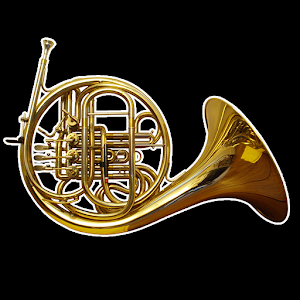 French Horn, Musical Instrume
