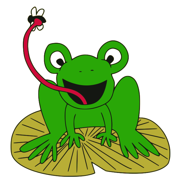 Frog On Lily Pad PNG - 72709
