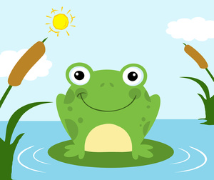 Frog On Lily Pad PNG HD - 129863