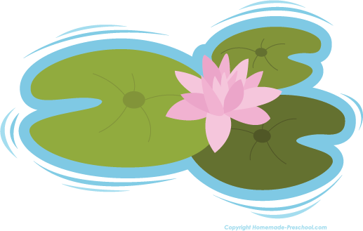 Frog On Lily Pad PNG HD - 129860