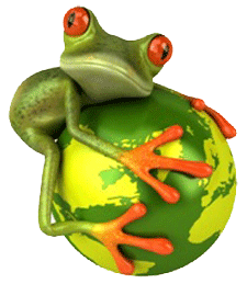 Frog PNG - 20653