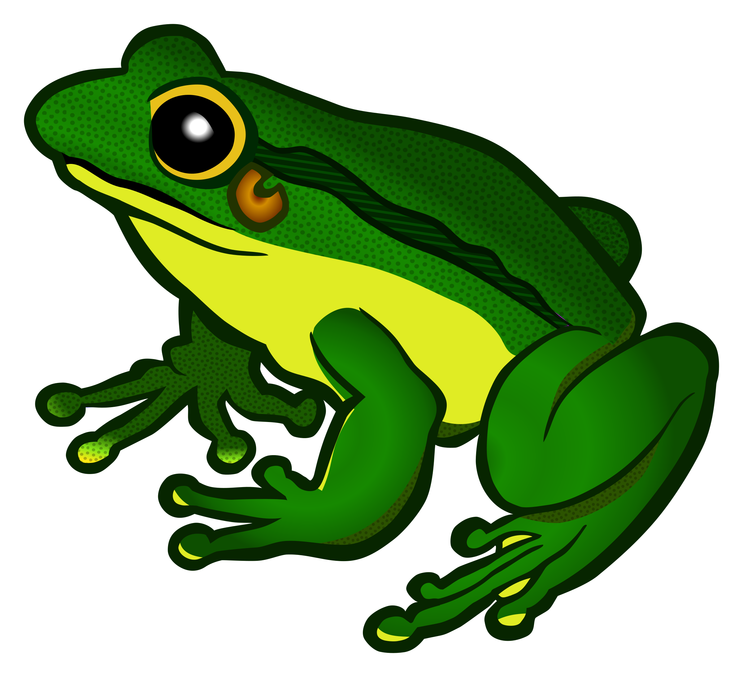 Frog PNG - 26655