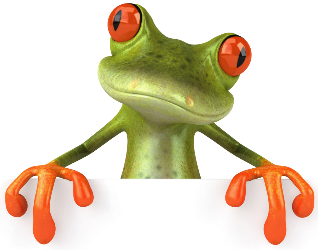 Frog PNG HD  - 123292