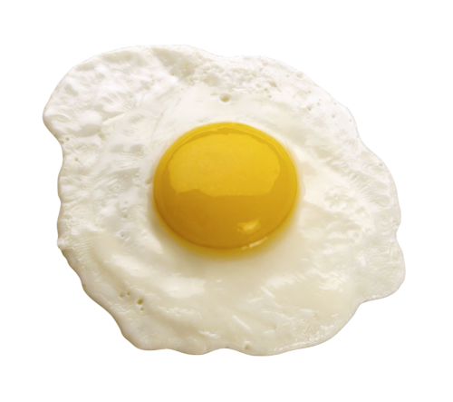 fried egg clipart