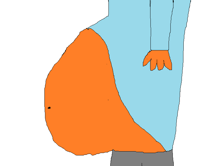 Full Belly PNG - 160953
