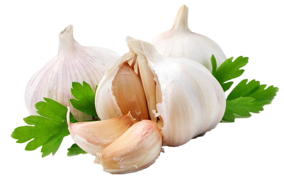 Garlic HD PNG