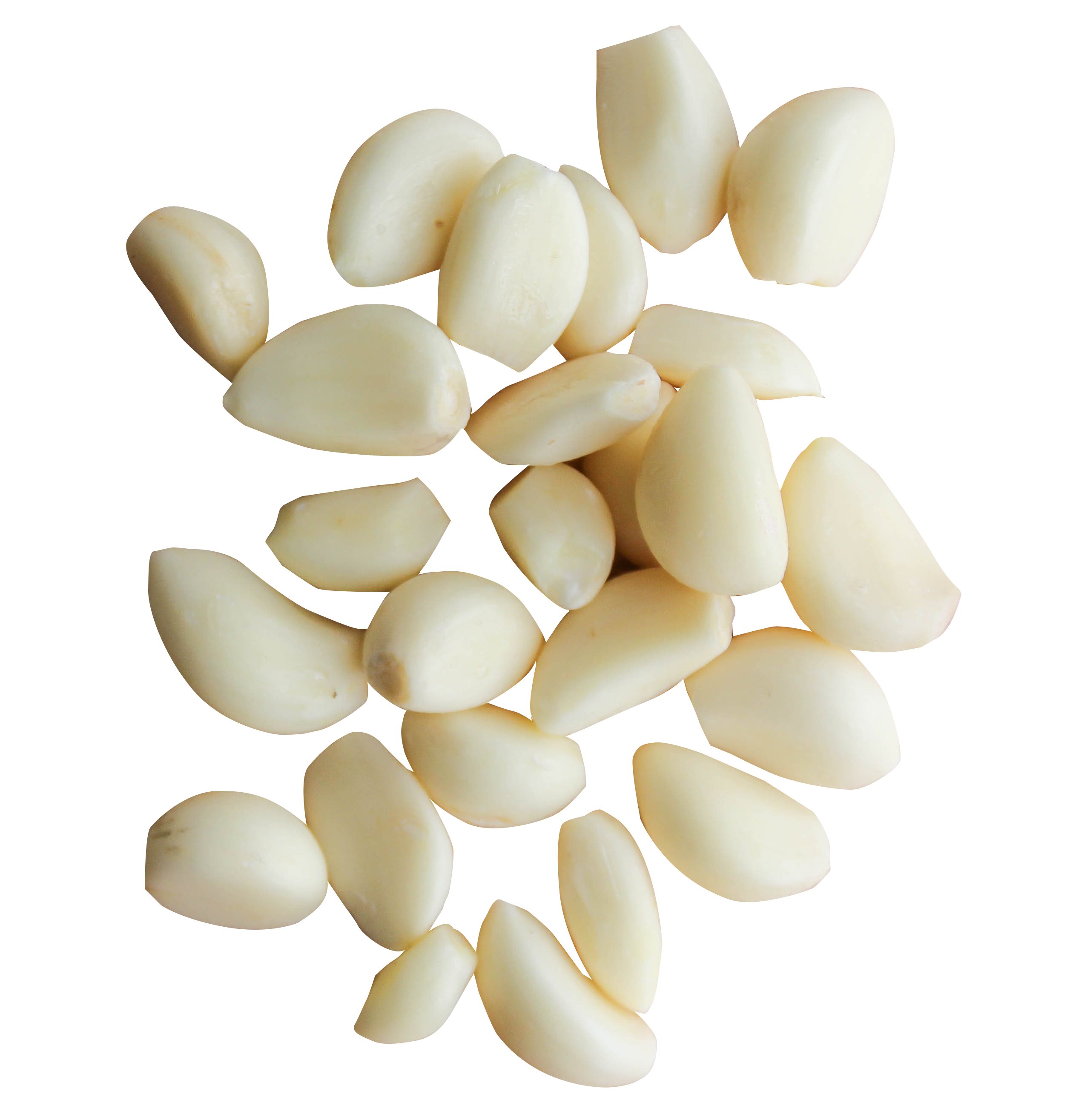 Garlic PNG - 7027