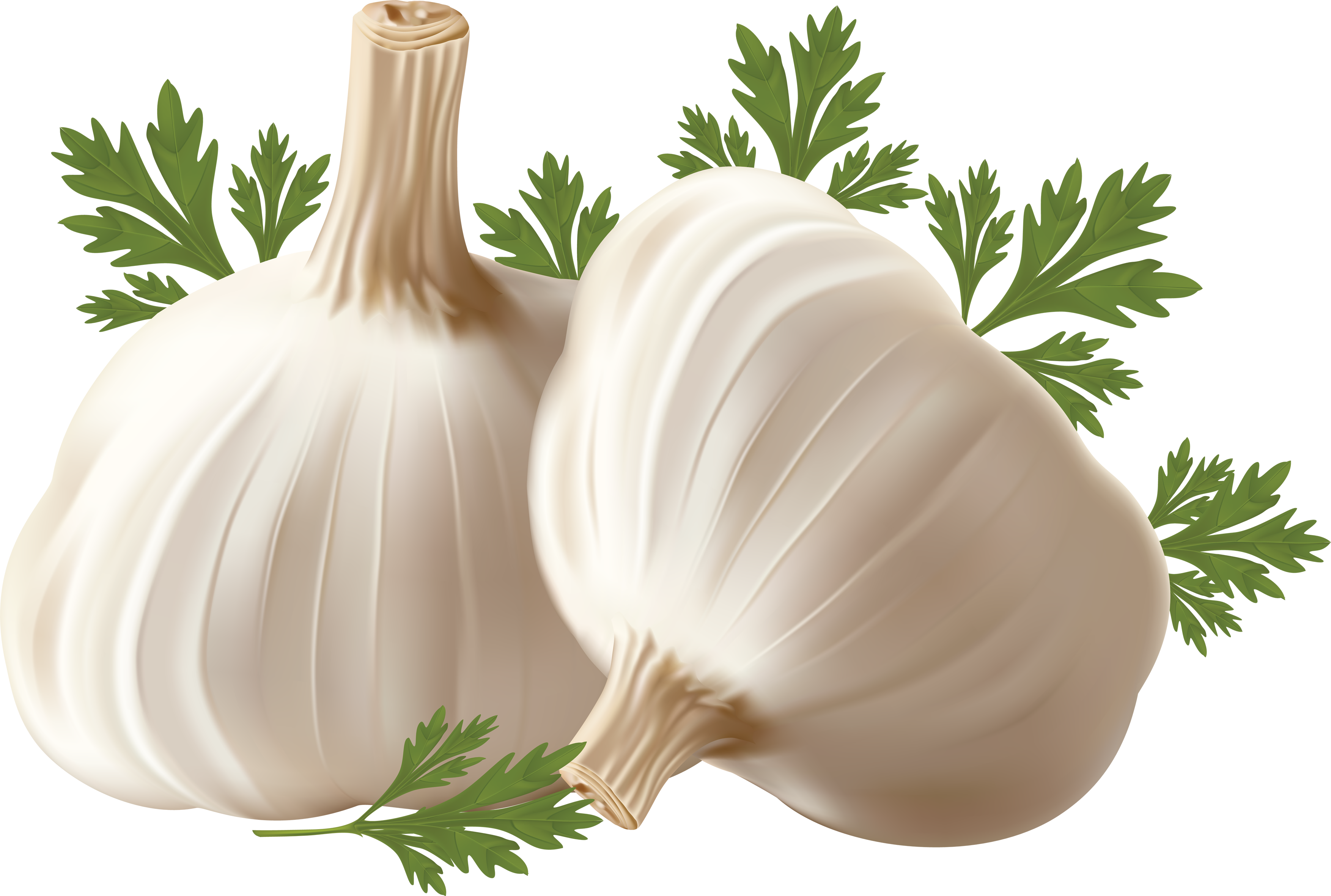 Garlic PNG - 7018