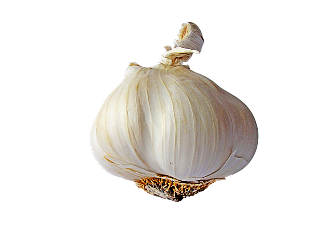 Garlic PNG - 7023