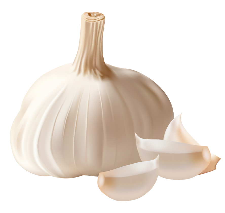 Garlic PNG - 7016