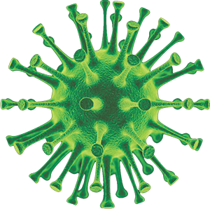 Germ PNG HD - 147975