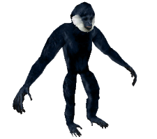 Gibbon PNG - 67264