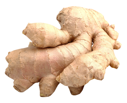 Ginger HD PNG - 89823