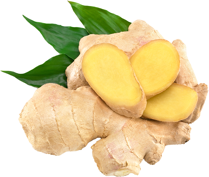 Ginger HD PNG - 89828