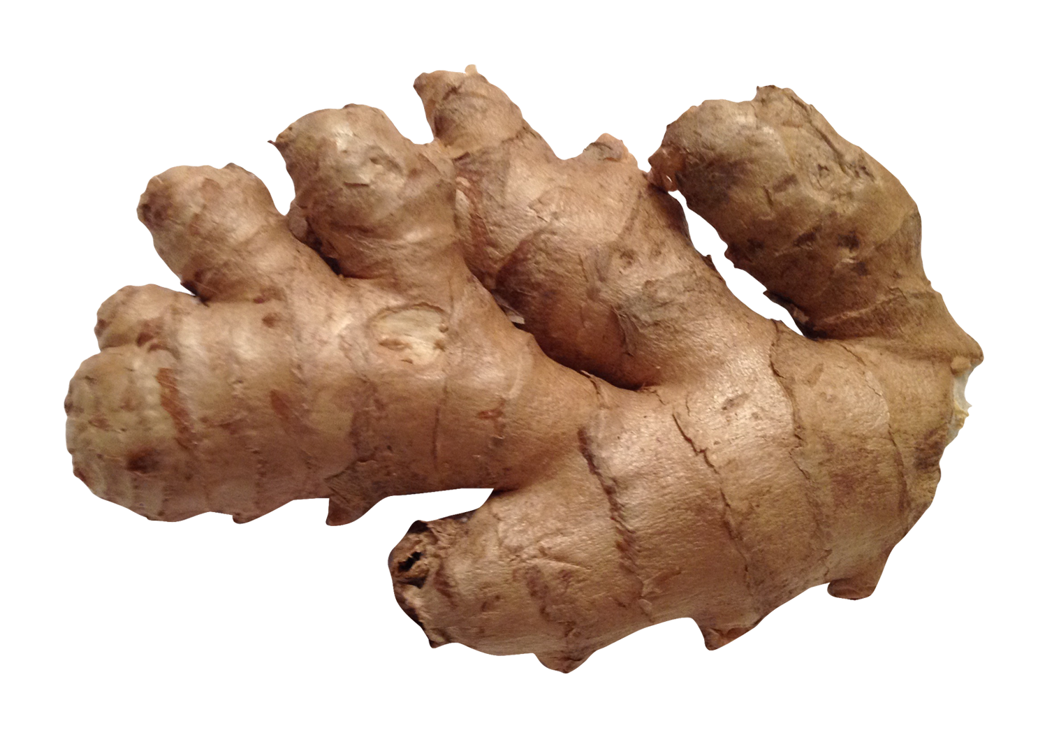 Ginger HD PNG - 89827