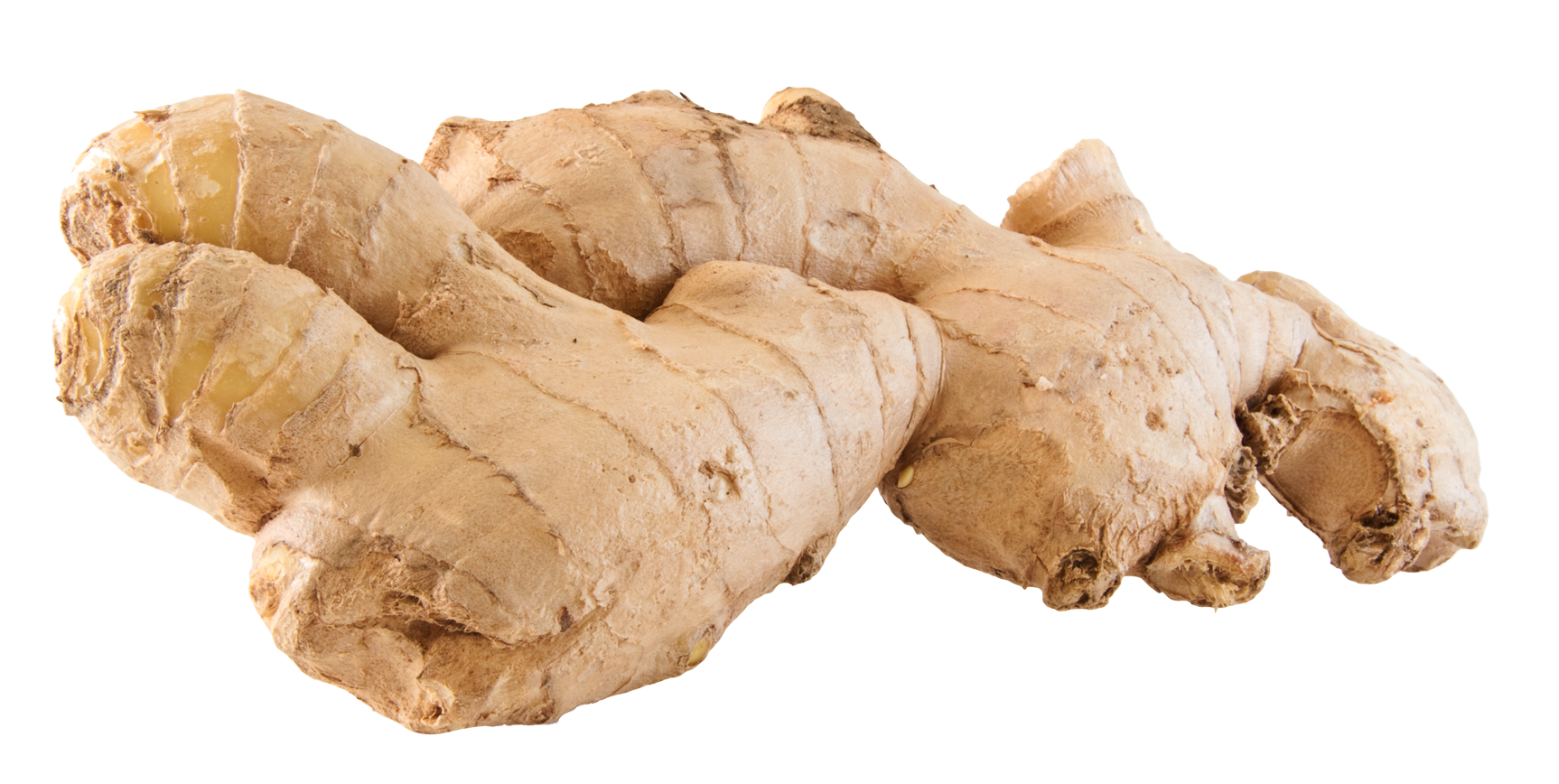 Ginger HD PNG - 89819