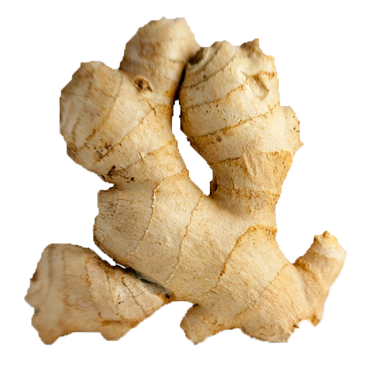Ginger HD PNG - 89826