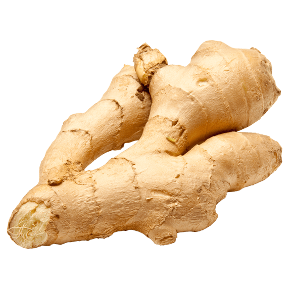 Ginger HD PNG - 89830