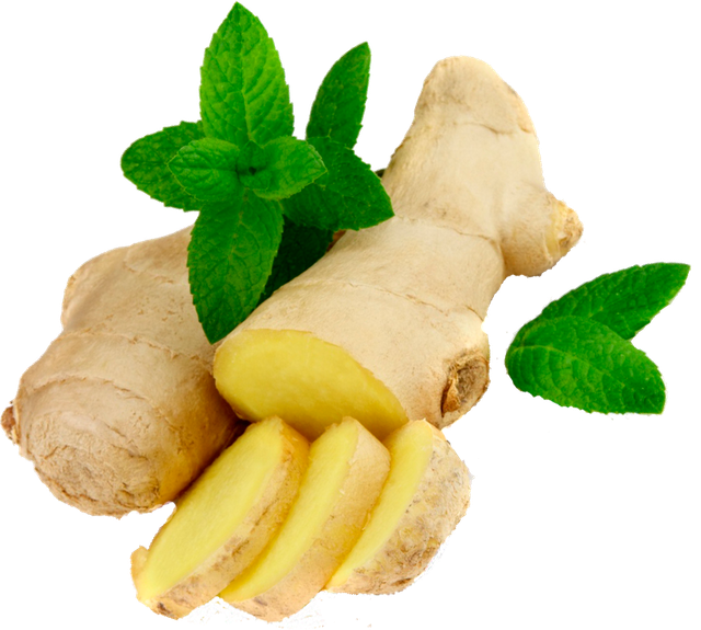 Ginger HD PNG - 89829